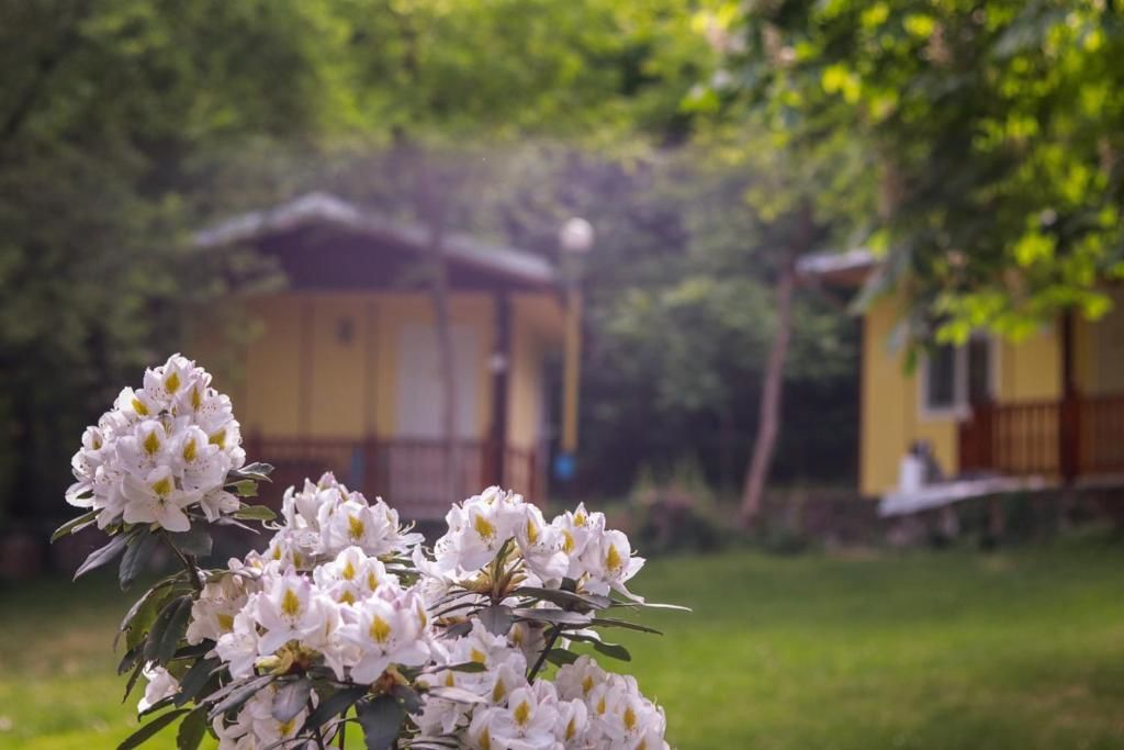 Дома для отпуска Bungalow in a lovely village Kamena Kamena-39